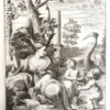 Ornitologia Ginanni