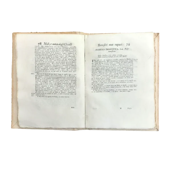 Ornitologia Ginanni
