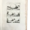 Ornitologia Ginanni