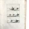 Ornitologia Ginanni