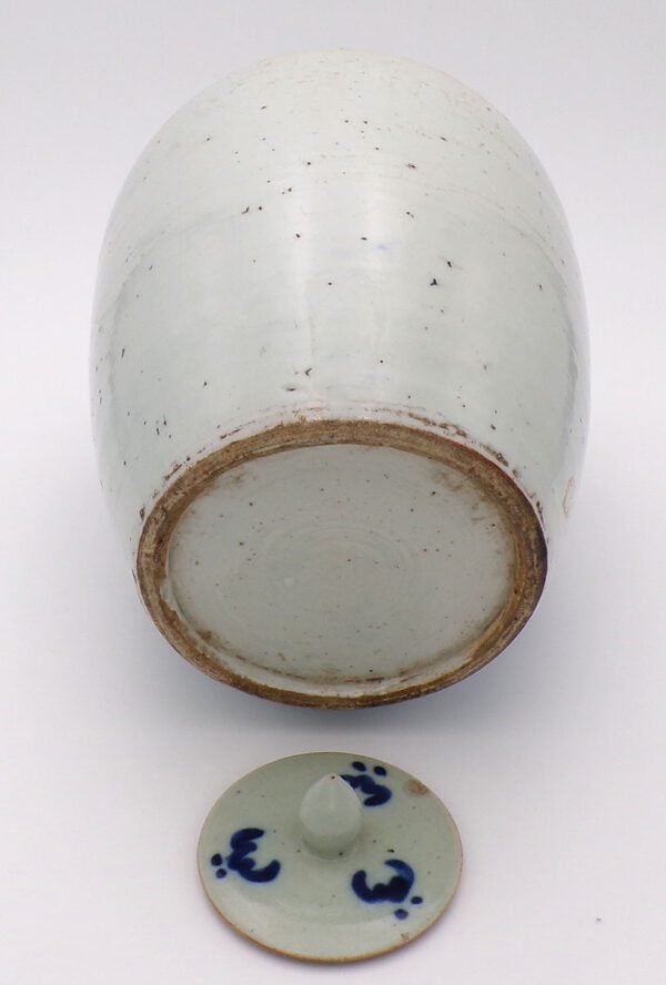 Perfetto Vaso Cinese Qing Blu Potiche per Zenzero - immagine 2