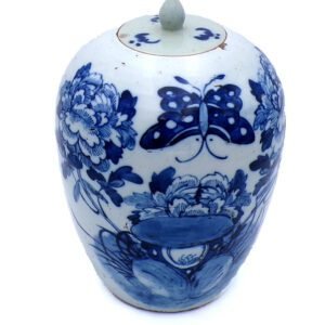 Vaso Cinese Qing Porcellana Blu Potiche per Zenzero