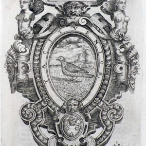 Bartolomeo da Brescia Emblema de L'Arcano, da Rime degli Accademici Occulti, 1568